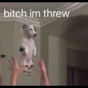 Meet your Posher, Bryant